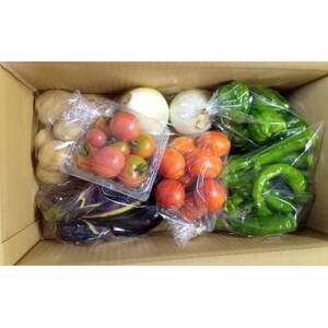 旬の野菜セット_野菜 ねぎ  ネギ 葱  野菜 じゃがいも いも ジャガイモ 馬鈴薯  野菜 さつまいも いも サツマイモ 薩摩芋  野菜 レタス    野菜   _【配送不可地域：離島】【1545269】