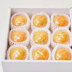 ˂Ȃ` (^ )2L 9_ʕEt[c `iJLj  _y1597972z