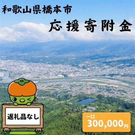 【返礼品なし】和歌山県橋本市への応援寄附金(300,000円分)