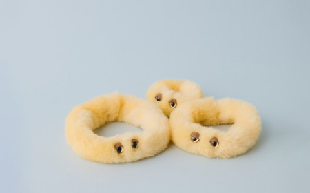 粘菌の森(ぬいぐるみ) ヘビヌカホコリ