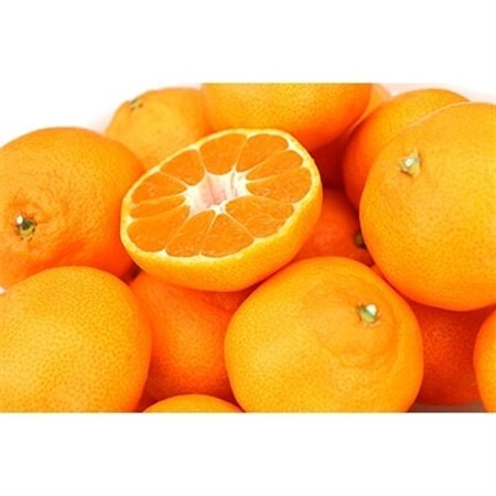 [先行受付]柳フルーツ園 大玉みかん 約5kg Lサイズ