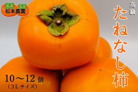 【先行予約：2023年秋発送：松本農園】　柿　秋の味覚の柿　たねなし柿(10～12個・3Lサイズ)　高級柿　