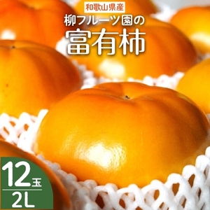 柿　富有柿(12個)　柳フルーツ園　【令和５年冬発送】