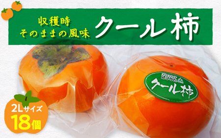 今のこの時期に!?冷蔵富有柿(クール柿)2Lサイズ18個入り【配送不可地域：離島】【1105973】