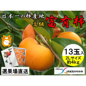 柿　富有柿(約4kg 2Lサイズ 13玉入)　高級柿　 JA紀北かわかみ