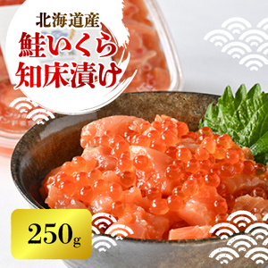 yxœxzƂ̒mЂ(250g)_ECY   _yzsnFEꌧzy1461340z