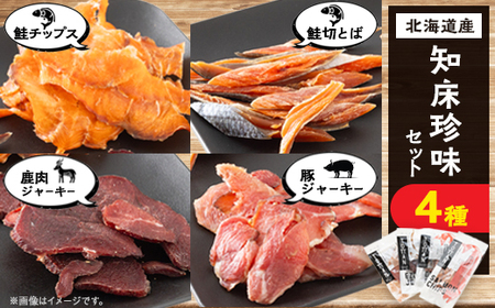 知床珍味セット 鹿肉ジャーキーや鮭チップスのセット_肉 豚肉 肉 鹿肉 しか シカ 魚介・海産物 _[配送不可地域:離島・沖縄県]
