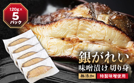 ₪ꂢXЂ 1120g×5pbN ؂g Y Xgp_ECY   _yzsnFEꌧzy1209830z
