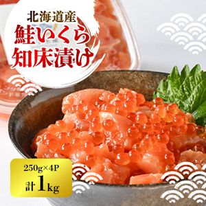 yxœxzƂ̒mЂ(250g)×4pbN_ECY   _yzsnFEꌧzy1532964z