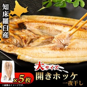 [北海道産]知床羅臼産開きホッケ 5枚入り[大サイズ]_魚介・海産物 干物 _[配送不可地域:離島・沖縄県]