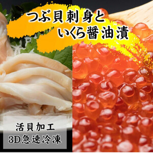 国産ツブ貝(刺身用)90g×3パック【現地加工品】と鮭卵いくら醤油漬け200g×1箱_魚介・海産物 いくら  イクラ  魚介・海産物  貝 _【配送不可地域：離島・沖縄県】【1555642】