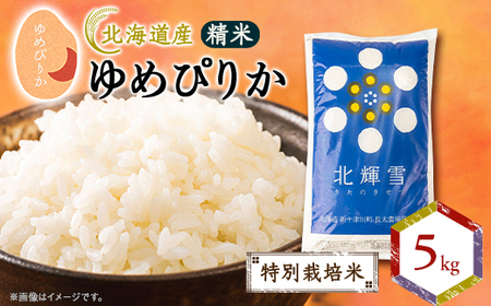 ykCYz߂҂肩 5kg qʍ͔|ār _      ߂҂肩  _y1548559z