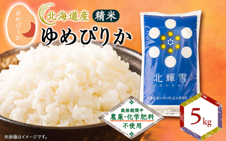 ykCYz߂҂肩 5kg q͔|Ԓ_Ew엿sgpr _      ߂҂肩  _y1548568z