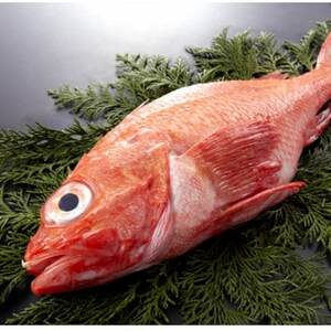 ypϗpEⓀz kCY@LL(߂)1@300gO ς kCΗYyzsnFEꌧzy1677692z