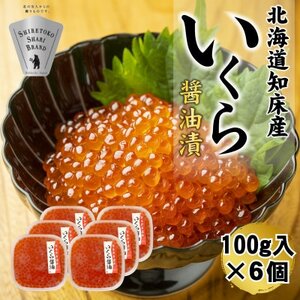 �y�k�C���m���Y�z��������ݖ��Ђ� 600g(100g×6)�y�z���s�n��F�����E���ꌧ�z�y1696471�z