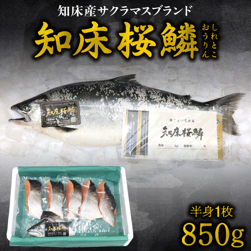 [先行受付] 知床産サクラマスブランド「桜鱗」 低温塩仕込み 半身1枚850g[切身個包装仕立て頭付き]