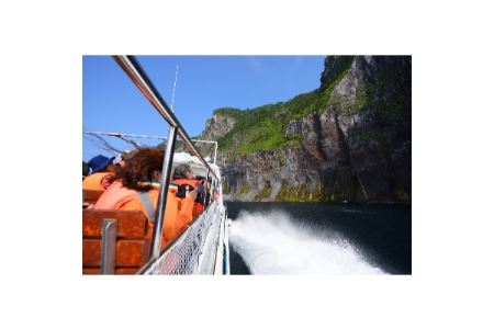 【乗船割引券3,000円】〈知床クルーザー観光船ドルフィン〉海から眺める世界自然遺産の絶景!【1213073】