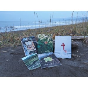 知床サスティナブル/vol.1,vol.2,vol.3,vol.4,vol.5 5冊セット[配送不可地域:離島・沖縄県]