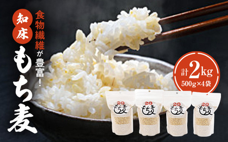 m(500g×4)2Kg_  Hi _yzsnFEꌧzy1274621z