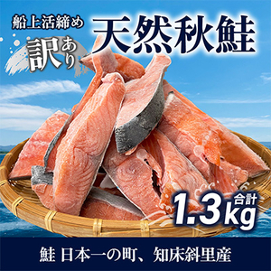 [先行受付][訳あり]知床斜里産 天然秋鮭の切り身 約1.3kg 船上活締め[配送不可地域:離島]