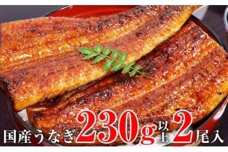 【数量限定】超特大サイズ国産うなぎ蒲焼き2本セット （230～249g×2本）(B632-2)