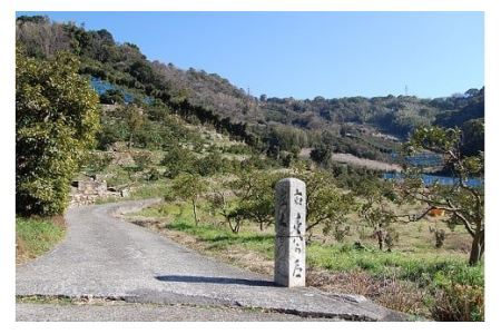 220 語り部と歩きたび★熊野古道★時さかのぼるありだ[完歩証付き](B220-1)