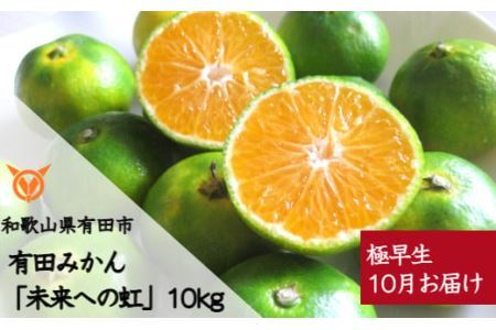 【10月お届け】有田みかん「未来への虹」（10kg）(B233-2)