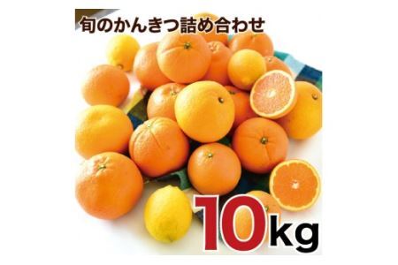 特選 旬のかんきつ詰め合わせ 10kg(B156-4)