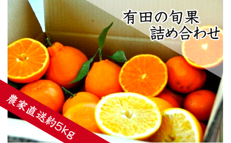 有田の旬果　詰め合わせ(B152-1)