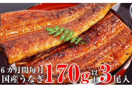 [定期便]国産うなぎ蒲焼き特大サイズ3本セット(6ヶ月お届け)(B585-1)