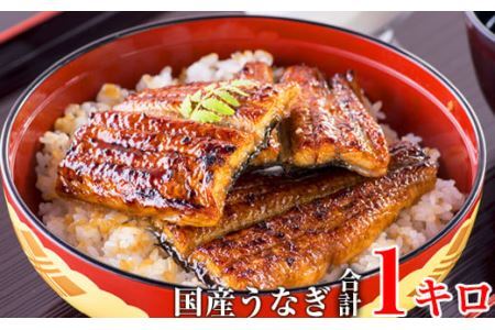 国産うなぎ蒲焼きカット1kgセット (B59-1)