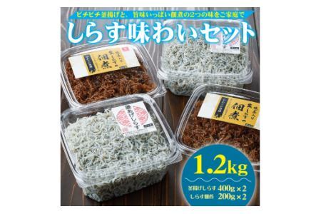 しらす味わいセット(釜揚げしらす・しらすの佃煮)1.2kg(B536-1)