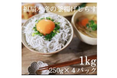 釜揚げしらす1kg(250g×4パック)[福扇水産](B498-1)