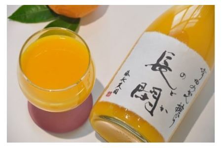198. 【数量限定】有田市認定みかんジュース「長閑(のどか)」4本セット(B198-1)