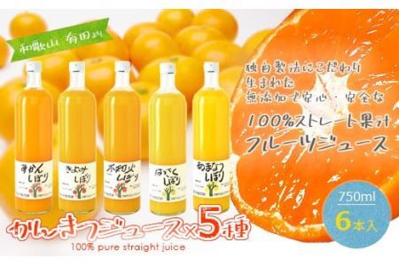 伊藤農園 100%ピュアジュース 大瓶750ml おまかせ6本セット(B224-1)