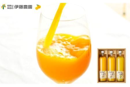 伊藤農園 100%ピュアジュース大瓶750ml×3本セット(B483-2)