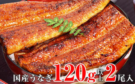 国産うなぎ蒲焼2本セット（120～149g）(B268-1)