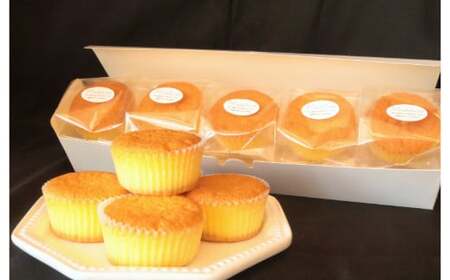 プティマドレーヌ　ｃinq de chouchou（サンクドシュシュ）(B979-2) 