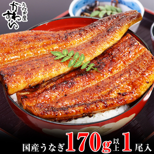 特大サイズ国産うなぎ蒲焼き170g1本セット(B1003-1)