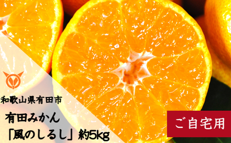 有田みかん「風のしるし」（約5kg）(B1051-1)
