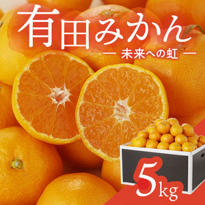 有田みかん「未来への虹」(5kg)(B973-2)