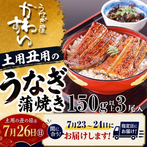 【丑の日用】国産うなぎ蒲焼き大サイズ3本セット(B1167-1)
