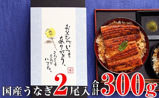 【父の日用】国産うなぎ蒲焼き大サイズ2本セット(B1161-1)