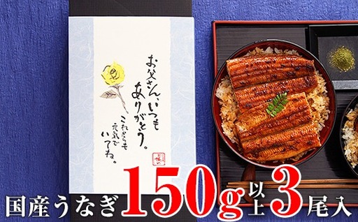 【父の日用】国産うなぎ蒲焼き大サイズ3本セット(B1162-1)