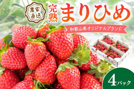 [3月発送平日]農家直送 完熟まりひめ(和歌山県オリジナルブランド いちご)4パック [配送不可地域:北海道・沖縄・離島