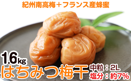 【1124-2】はちみつ梅干し（紀州南高梅）1.6kg 中粒 2L 和歌山県産
