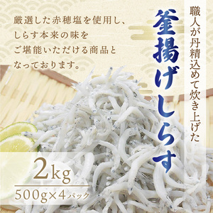 y1162-2zg炷2kg(500g×4pbN)