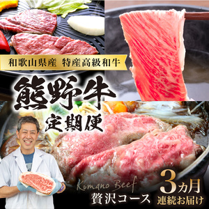 �y8028�z����ց@�F�싍�ґ�R�[�X�y3�����A�����͂��z