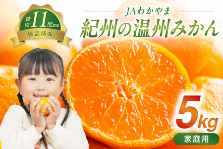 y1262-1zJA킩܁@IB̉B݂iƒpj5kg