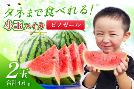 y1246zIєIʂ smK[ 2L 2ʁss\t2026N6{珇\y zsnFkCEEz